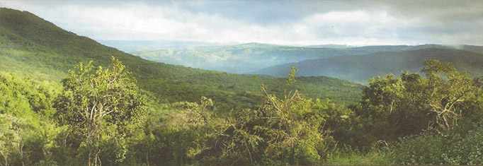 Bogarts Nature Valley Estate